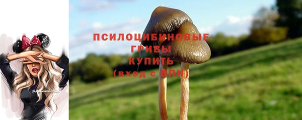 спиды Алзамай