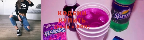 индика Абаза