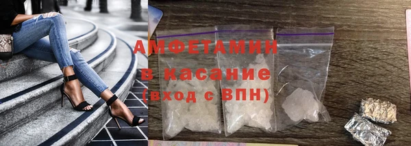 индика Абаза
