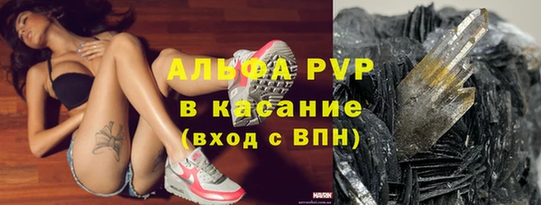 спиды Алзамай